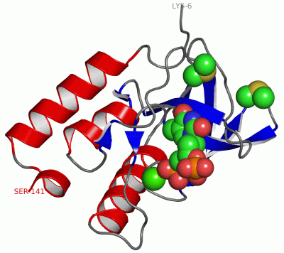 Image Asym./Biol. Unit - manually