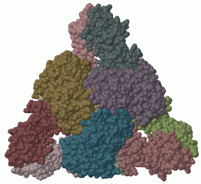 Image Biol.Unit 1 - manually