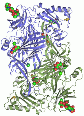 Image Asym./Biol. Unit - manually