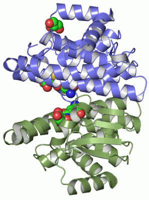 Image Asym./Biol. Unit - manually