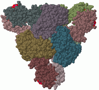 Image Biol.Unit 1 - manually