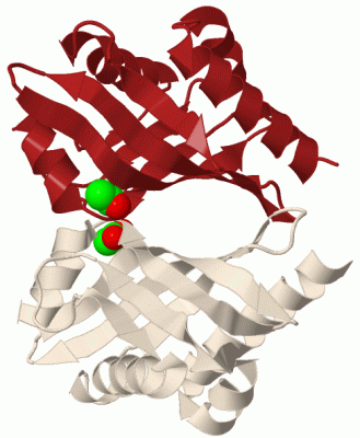 Image Biol.Unit 1 - manually