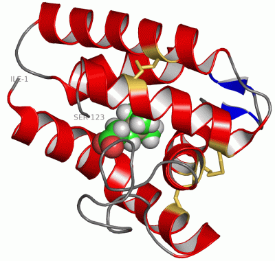 Image NMR Structure - manually