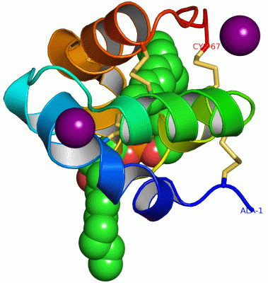 Image Asym./Biol. Unit - manually