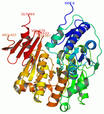 Image Asym./Biol. Unit - manually