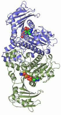 Image Asym./Biol. Unit - manually