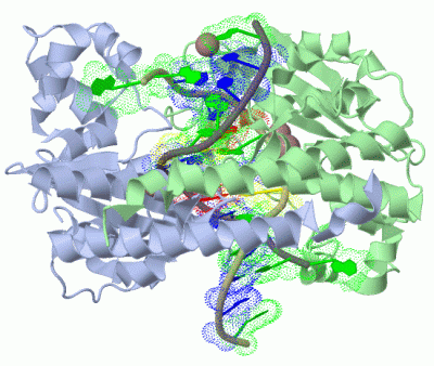 Image Biol.Unit 1 - manually