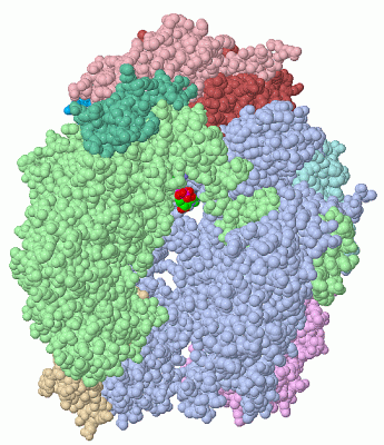 Image Asym./Biol. Unit - manually