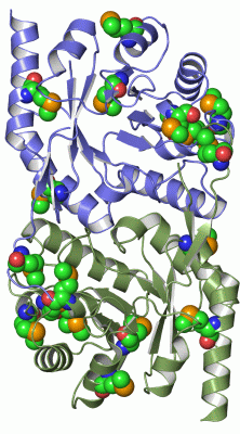 Image Asym./Biol. Unit - manually