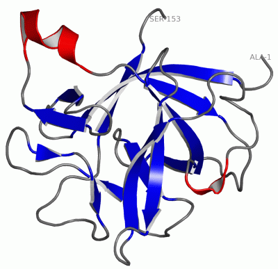 Image Asym./Biol. Unit - manually