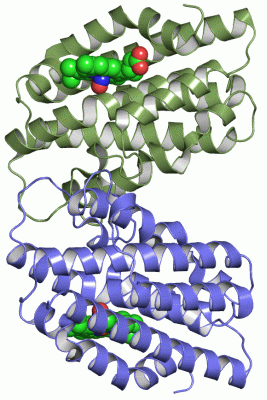 Image Asym./Biol. Unit - manually