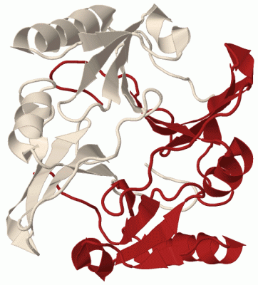 Image Biol.Unit 1 - manually