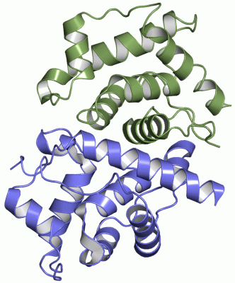 Image Asym./Biol. Unit - manually