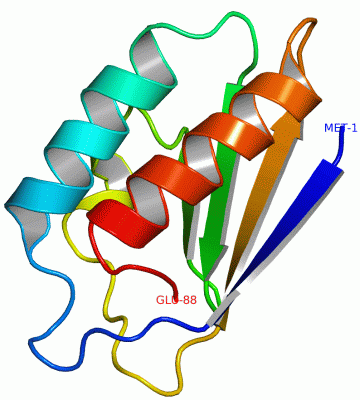 Image NMR Structure - manually