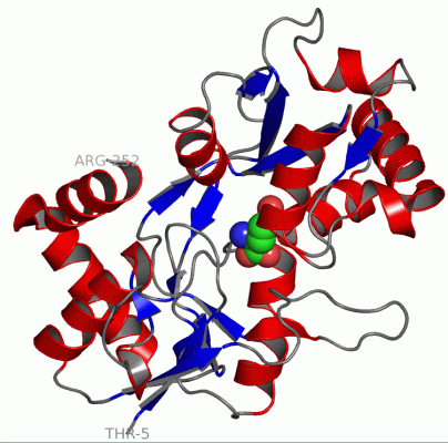 Image Asym./Biol. Unit - manually