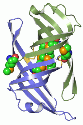 Image Asym./Biol. Unit - manually