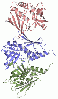 Image Asym.Unit - manually
