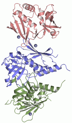 Image Asym.Unit - manually