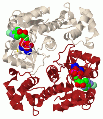 Image Biol.Unit 1 - manually