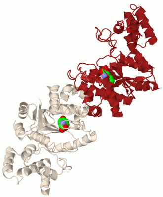 Image Biol.Unit 1 - manually