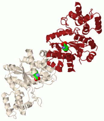 Image Biol.Unit 1 - manually