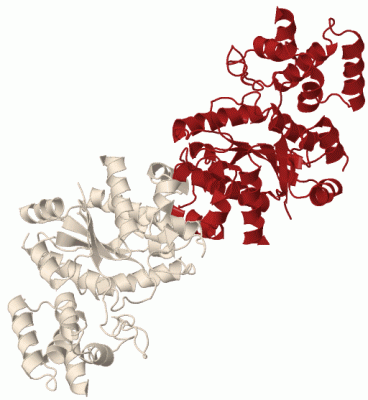 Image Biol.Unit 1 - manually