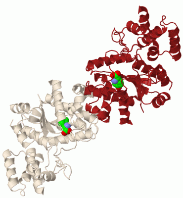 Image Biol.Unit 1 - manually