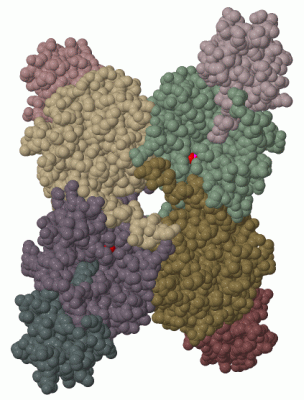 Image Biol.Unit 1 - manually