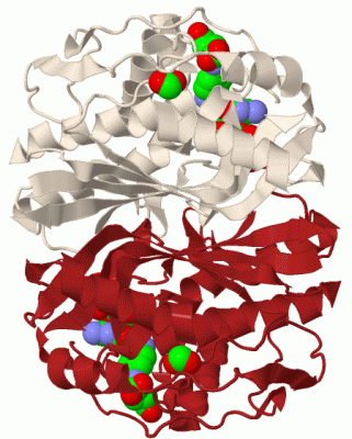 Image Biol.Unit 1 - manually