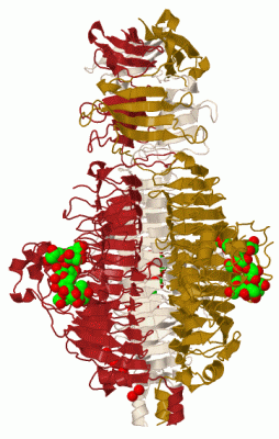 Image Biol.Unit 1 - manually