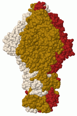 Image Biol.Unit 1 - manually