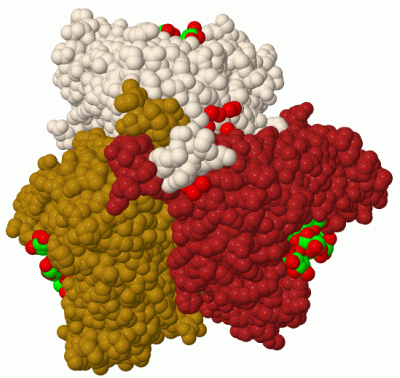 Image Biol.Unit 1 - manually