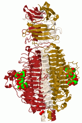 Image Biol.Unit 1 - manually