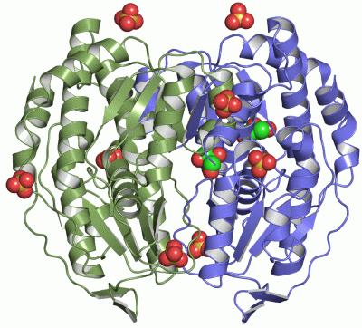 Image Asym./Biol. Unit - manually