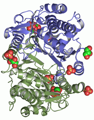 Image Asym./Biol. Unit - manually