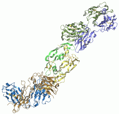 Image Asym./Biol. Unit - manually