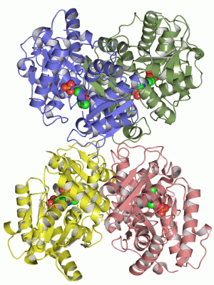 Image Asym./Biol. Unit - manually