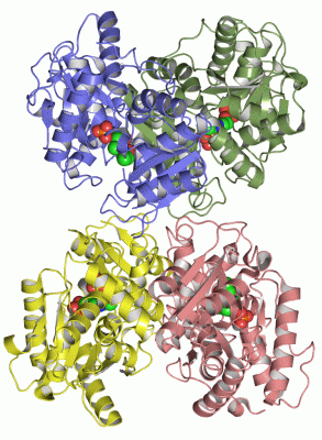 Image Asym./Biol. Unit - manually