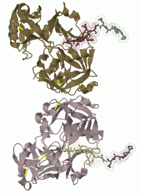 Image Biol.Unit 1 - manually