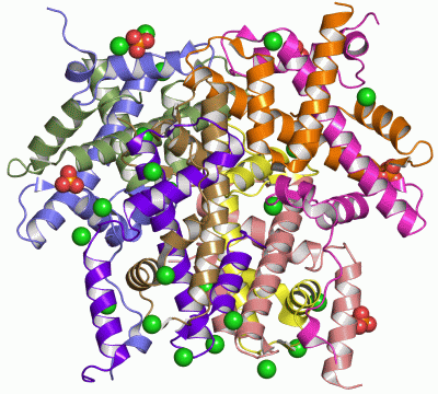 Image Asym./Biol. Unit - manually