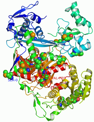 Image Asym./Biol. Unit - manually