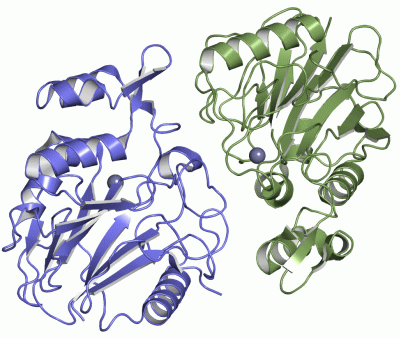 Image Asym./Biol. Unit - manually