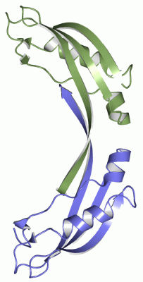 Image Asym./Biol. Unit - manually