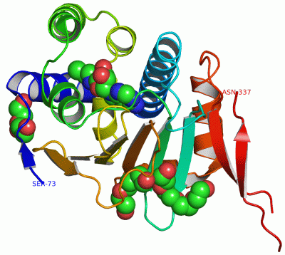 Image Asym./Biol. Unit - manually