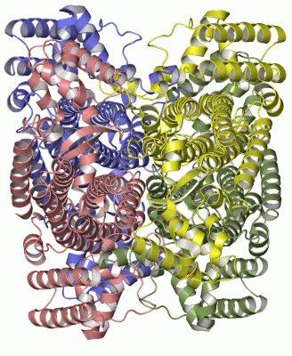 Image Asym./Biol. Unit - manually