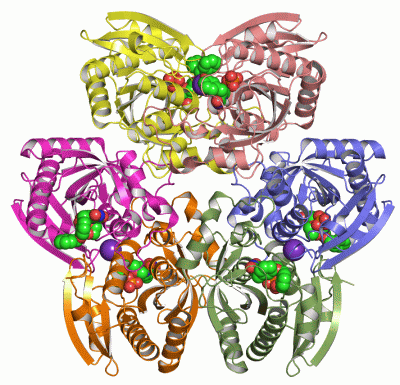 Image Asym./Biol. Unit - manually