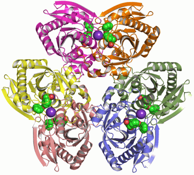 Image Asym./Biol. Unit - manually