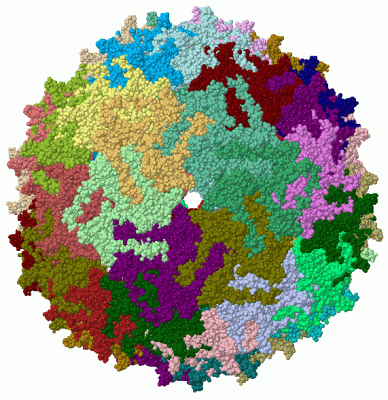 Image Biol.Unit 1 - manually