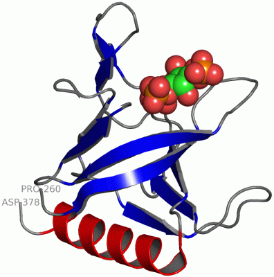 Image Asym./Biol. Unit - manually