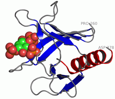 Image Asym./Biol. Unit - manually